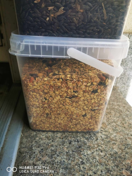 2,5kg Fettfutter plus Energiefutter für Wildvögel mit Rosinen Fett Futter Amsel im durchsichtigen eckigen Eimer